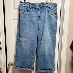 Torrid Belle Isle Cropped Wide Leg Jeans